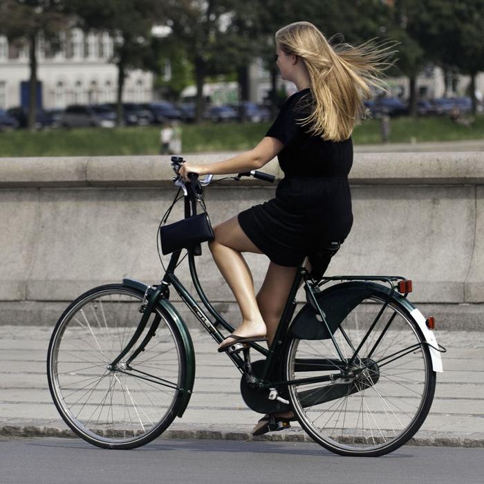 Copenhagen Cycle Chic